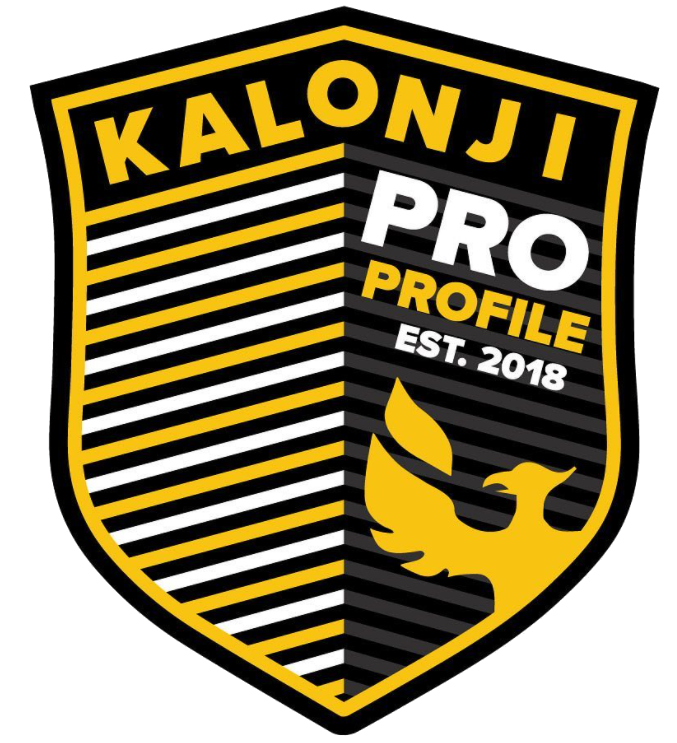 pro-profile-logo